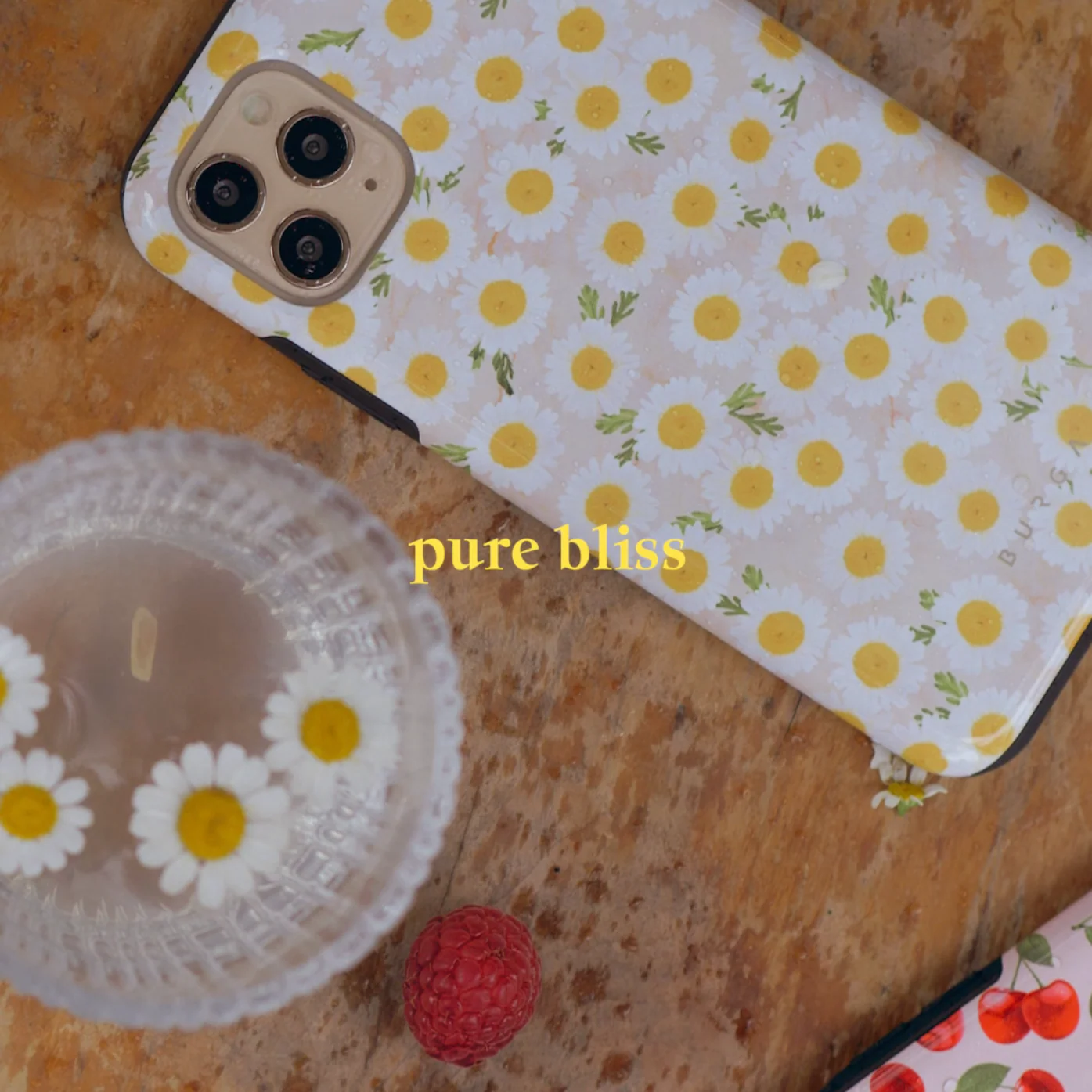 Pure Bliss - Daisy Samsung Galaxy S26 Plus Case - Image 64